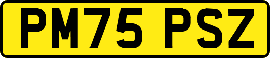 PM75PSZ