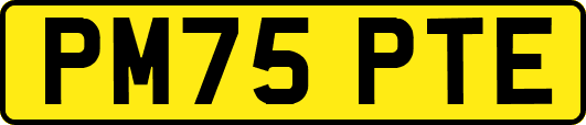 PM75PTE