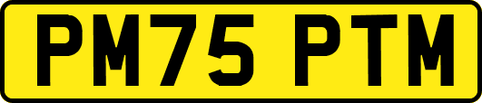 PM75PTM