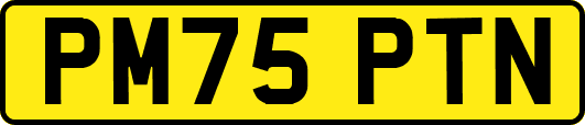 PM75PTN
