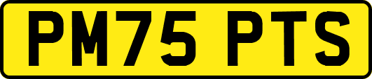 PM75PTS