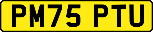 PM75PTU
