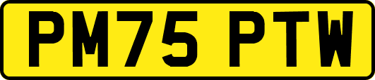 PM75PTW