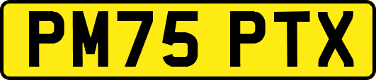 PM75PTX