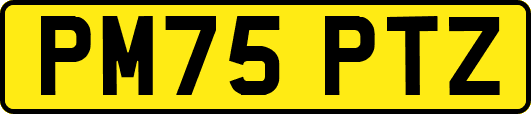 PM75PTZ