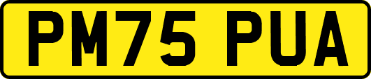 PM75PUA