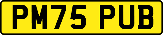 PM75PUB