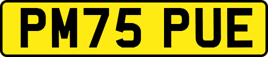 PM75PUE