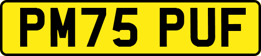 PM75PUF