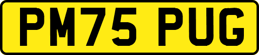 PM75PUG