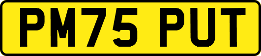 PM75PUT