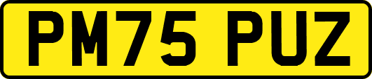 PM75PUZ
