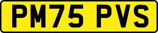 PM75PVS