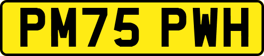 PM75PWH