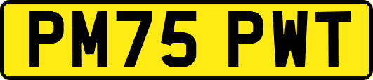 PM75PWT