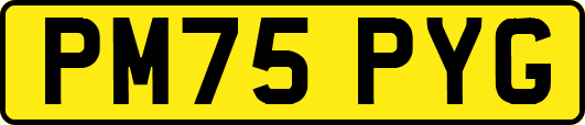 PM75PYG