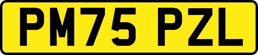 PM75PZL