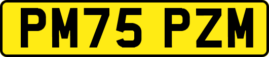 PM75PZM