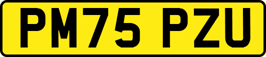PM75PZU