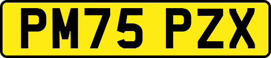 PM75PZX