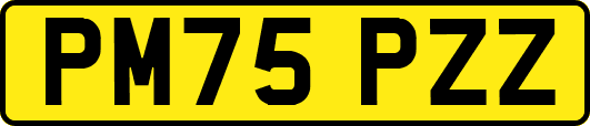 PM75PZZ