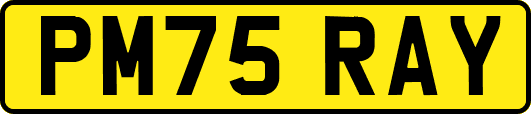PM75RAY