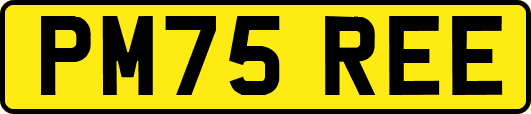 PM75REE