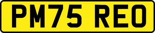 PM75REO