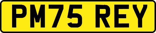 PM75REY