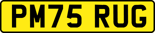 PM75RUG