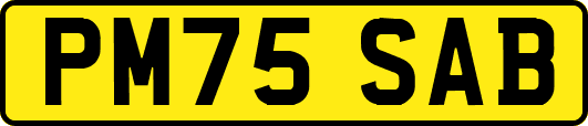 PM75SAB