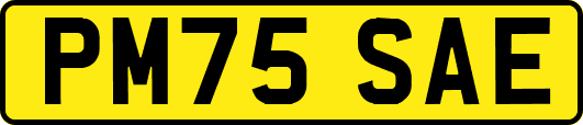 PM75SAE