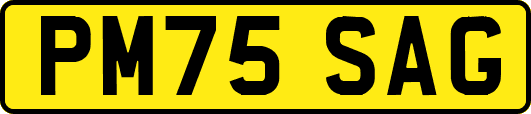 PM75SAG