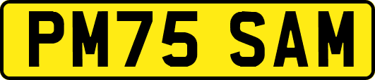 PM75SAM