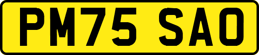 PM75SAO