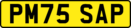 PM75SAP