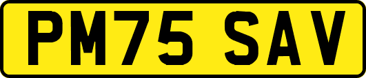PM75SAV