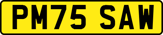 PM75SAW