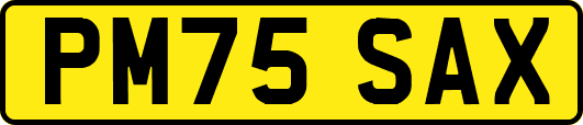 PM75SAX
