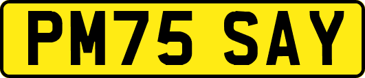 PM75SAY