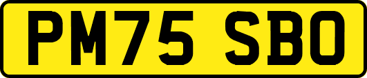 PM75SBO