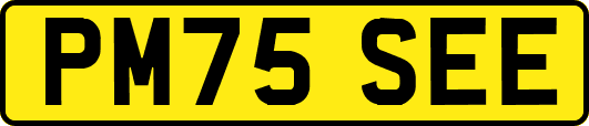 PM75SEE