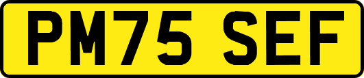 PM75SEF