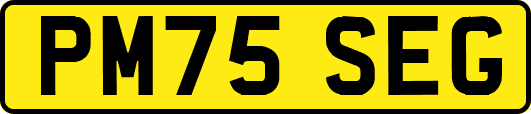 PM75SEG