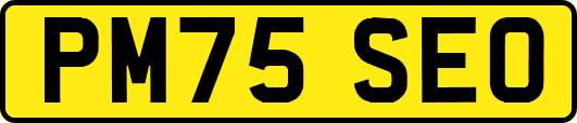 PM75SEO