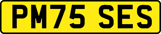 PM75SES