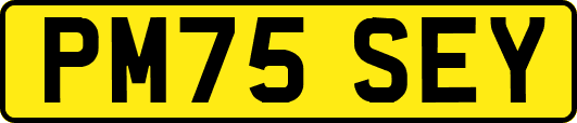 PM75SEY