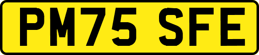 PM75SFE