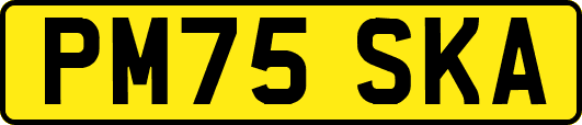 PM75SKA