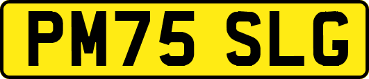PM75SLG